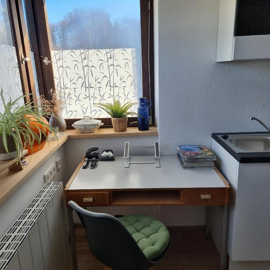 Exklusive Ferienwohnung Hattorfer Teiche Wolfsburg Kültér fotó