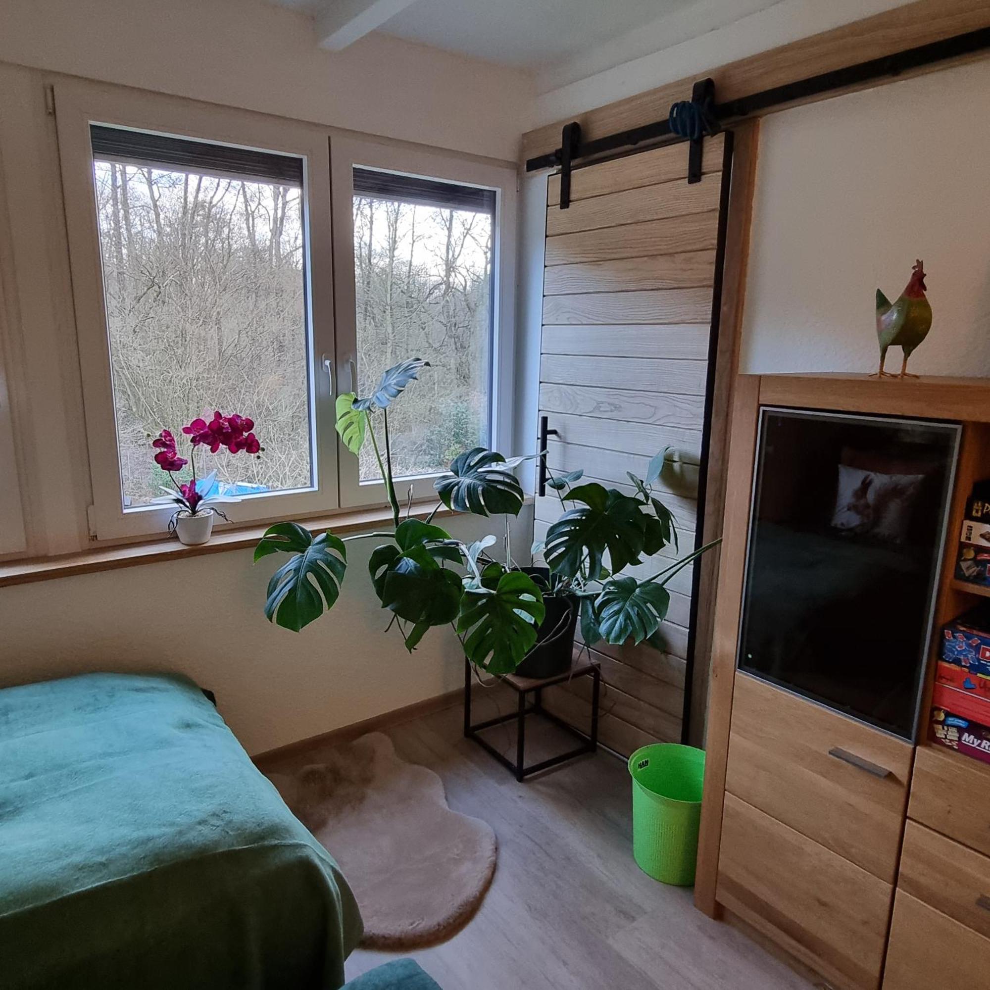 Exklusive Ferienwohnung Hattorfer Teiche Wolfsburg Szoba fotó